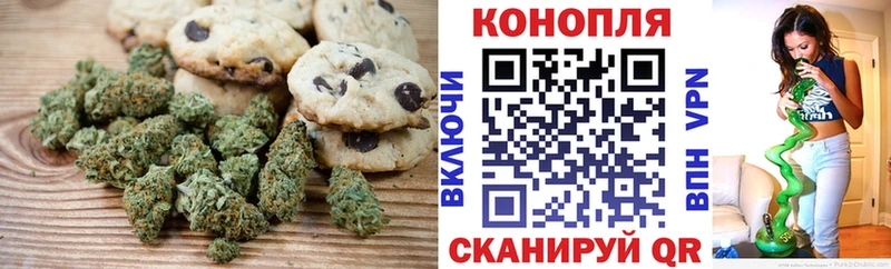 где купить   Иваново  Canna-Cookies конопля 
