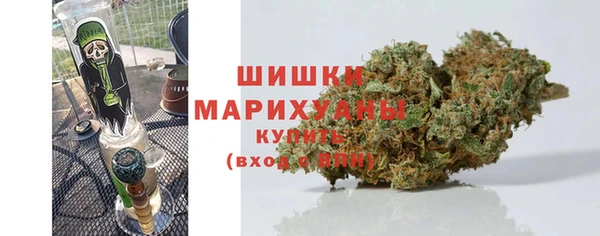 прущие грибы Краснослободск