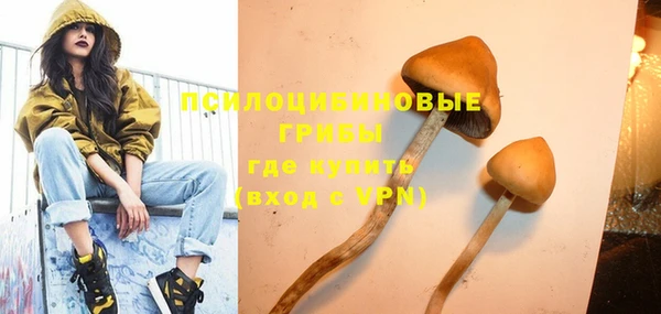 дживик Корсаков