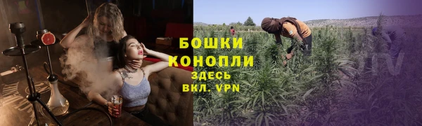 ALPHA PVP Костерёво