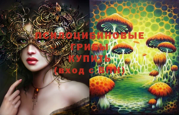 прущие грибы Краснослободск