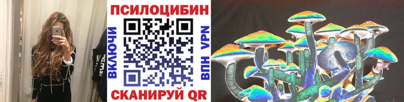 Псилоцибиновые грибы мицелий Иваново
