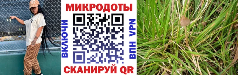 Псилоцибиновые грибы мухоморы  ссылка на мегу как зайти  Иваново 