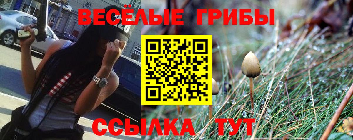 Галлюциногенные грибы Cubensis  Галлюциногенные грибы мухоморы  Иваново  Вход с VPN 