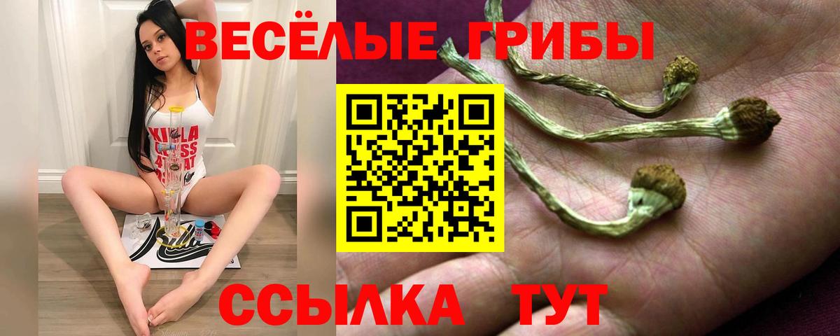 Галлюциногенные грибы ЛСД Иваново